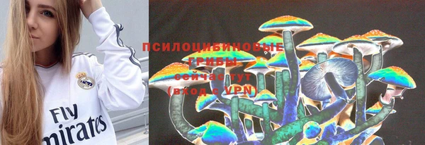 СК Мегион