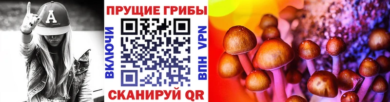 Купить где  Билибино  Псилоцибиновые грибы MAGIC MUSHROOMS 